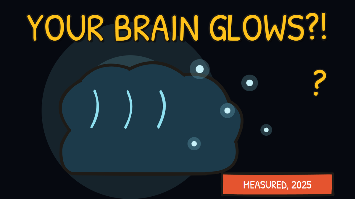 Munchrd illustration for: Why did scientists just catch your brain glowing in the dark?