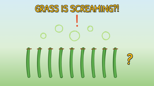 Munchrd: Why does fresh-cut grass smell so good?