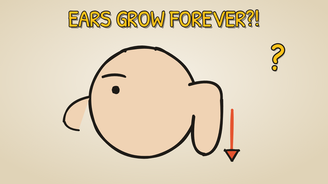Munchrd: Why do your ears and nose never stop growing?