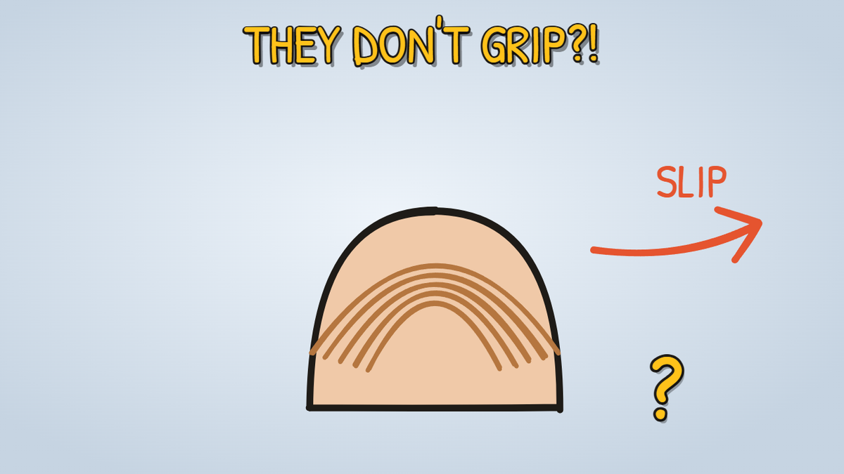 Munchrd illustration for: Why do you have fingerprints?