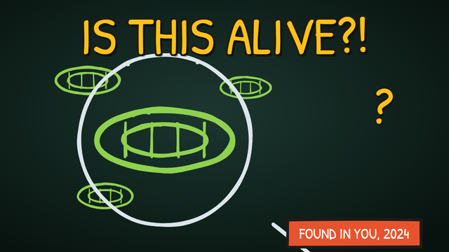 Munchrd: Why did scientists just find things inside you that aren't quite alive?