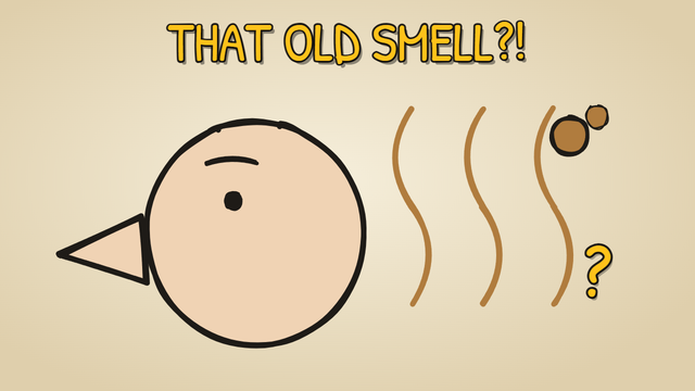 Munchrd: Why do old people have a certain smell?