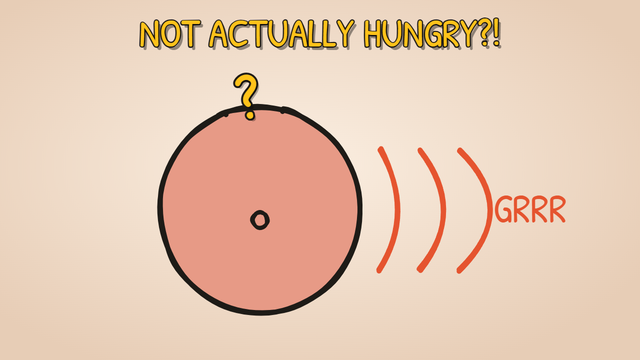 Munchrd: Why does your stomach growl?